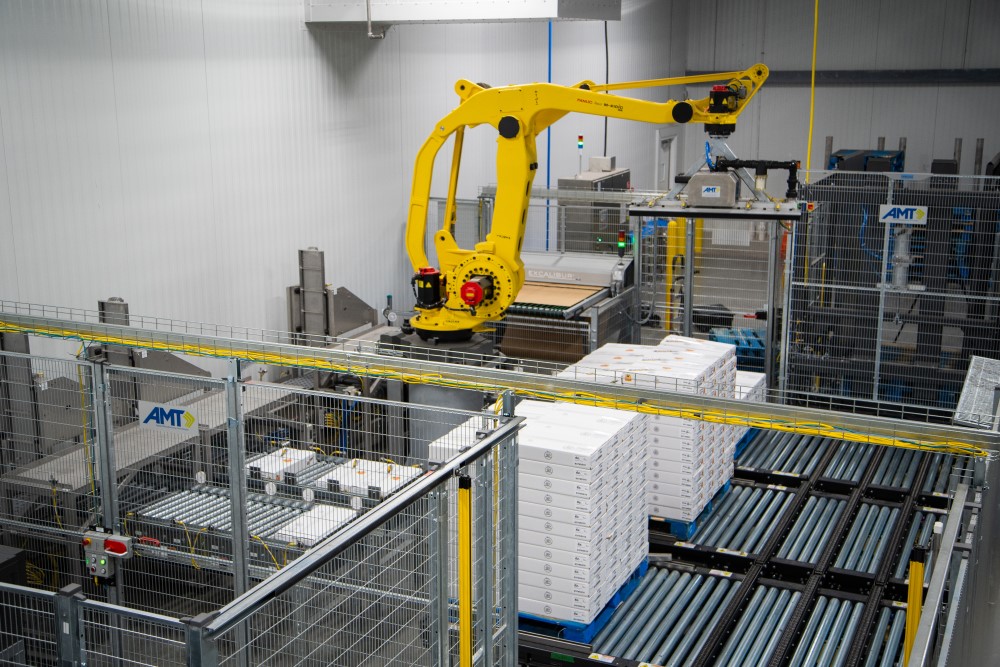 Material Handling Palletizing And Depalletizing